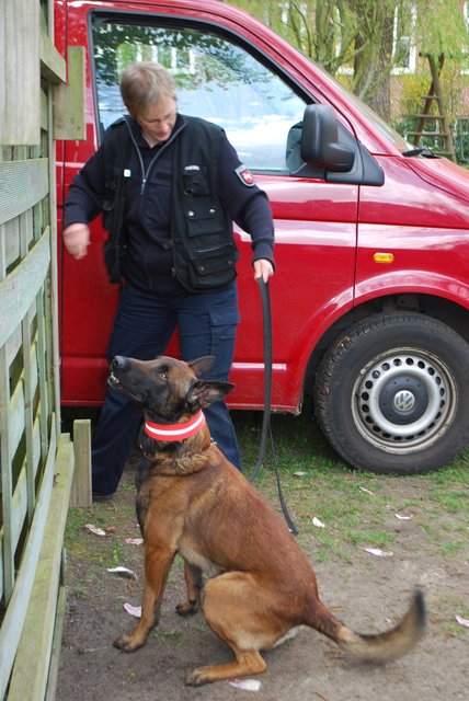 Drogensuchhund "Keno" von Nicole Ehlert
