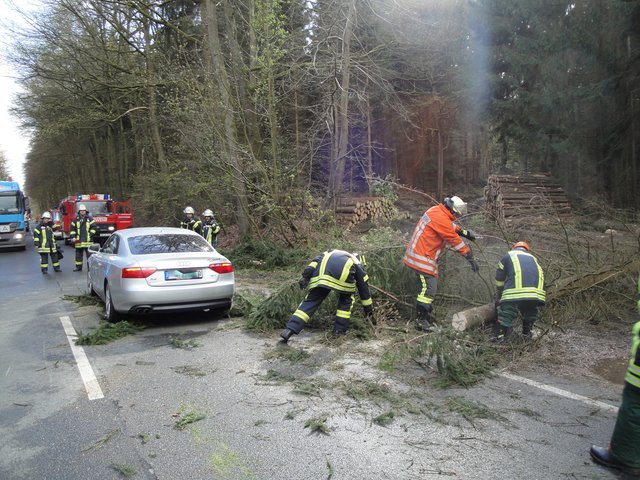 Die Unfallstelle in Tötensen. Die Feuerwehr beseitigt den Baum | Foto: Feuerwehr