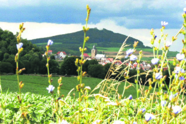 Naumburg ist ein idealer Ausgangspunkt für eine Wanderung auf dem Habichtswaldsteig