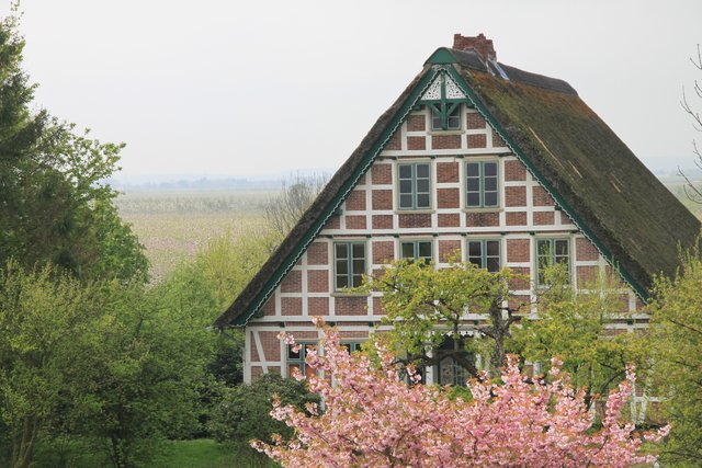 Zur Blütezeit ist es im Alten Land besonders schön