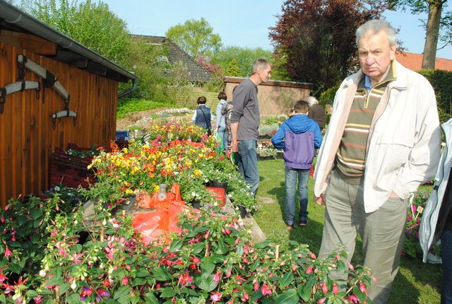 Bunte Blütenpracht in allen Farben