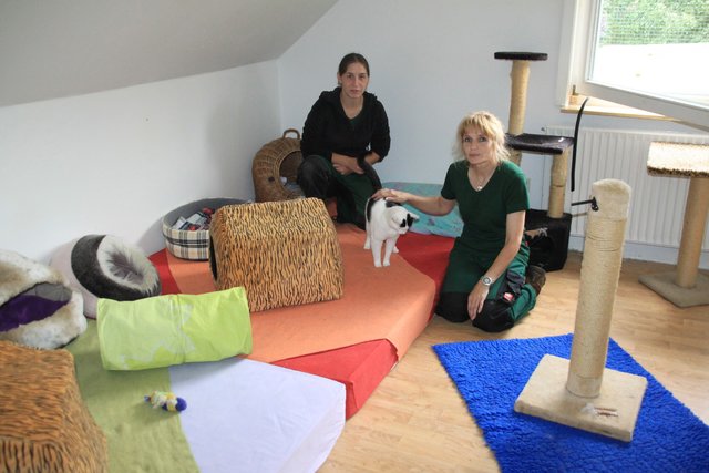 Tierheim-Chefin Julia Weber (li.), Mitarbeiterin Angela Burkhardt und Katze "Mandy"
