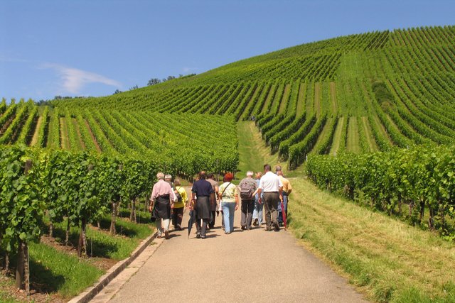 Das Bottwartal gilt als eines der schönsten Weinanbaugebiete Baden-Württembergs und lädt zu genussvollen Wanderungen ein | Foto: djd/Tourismusgemeinschaft Marbach-Bottwartal