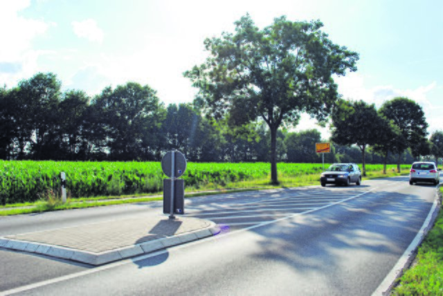 In diesem Bereich an der Wohlesbosteler Straße soll die Containeranlage für Asylbewerber entstehen