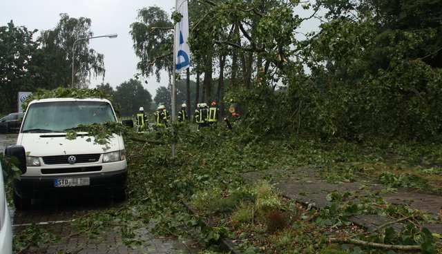 Ein umgestürzter Baum blockierte die L124 an der Ortsausfahrt Hollenbeck