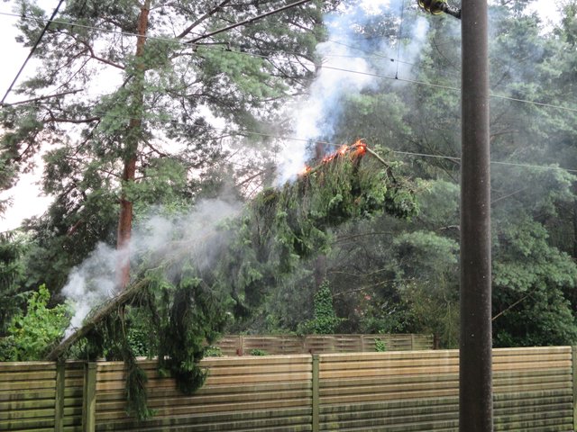 Die auf die Oberleitung der Bahn gefallene Tanne fing Feuer | Foto: Feuerwehr