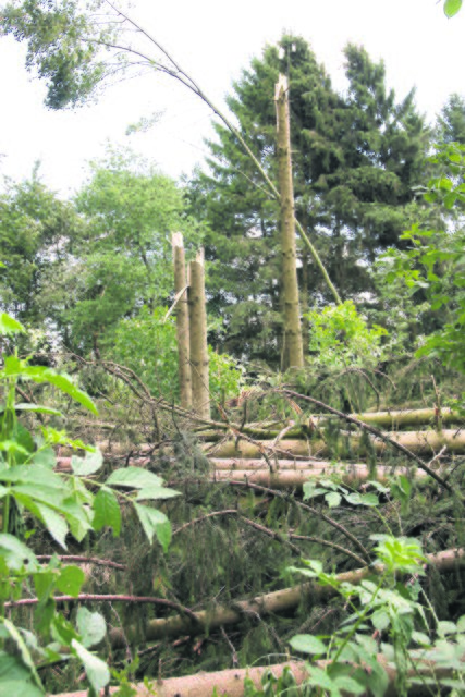 Auch wenn alles verwüstet ist...