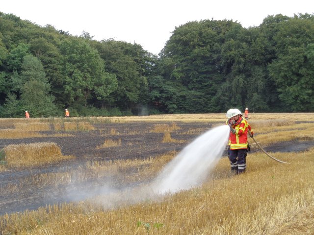 Auch etwa 2.000 Quadratmeter Getreidefeld fielen den Flammen zum Opfer | Foto: Feuerwehr