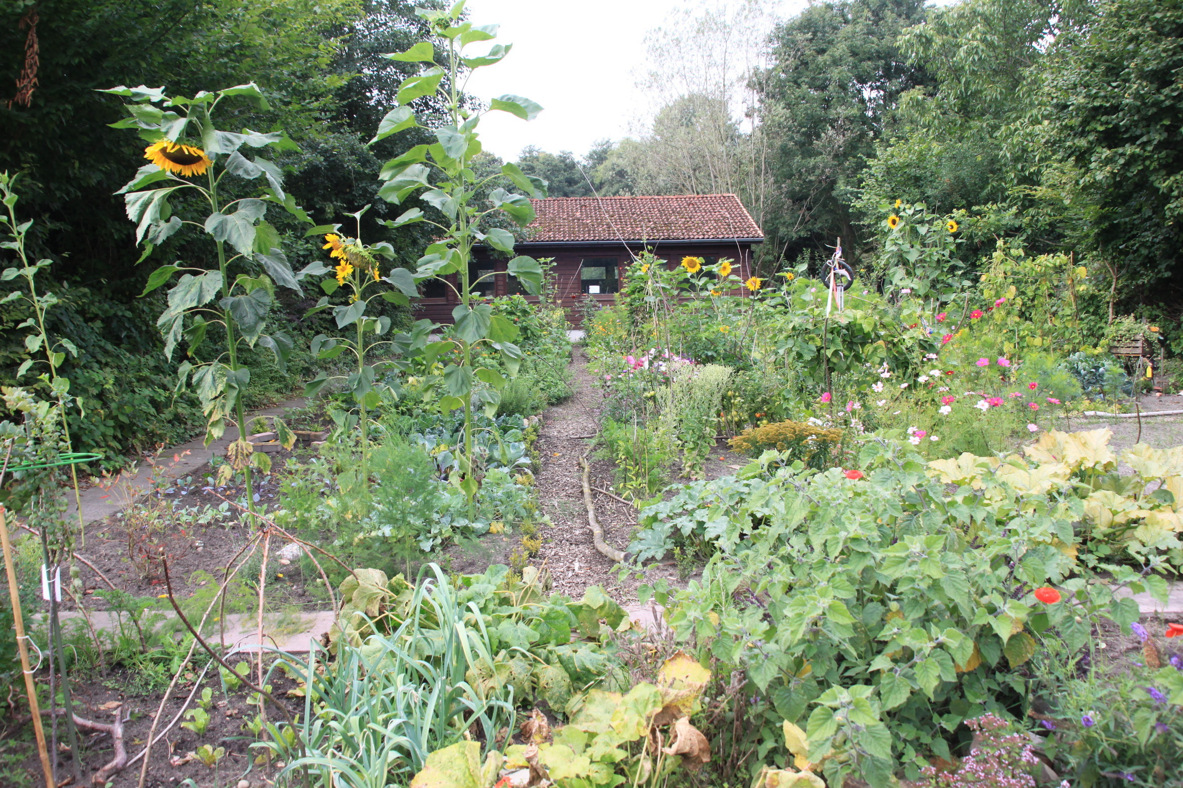 Der internationale Garten ist üppig mit Blumen und Gemüse bewachsen