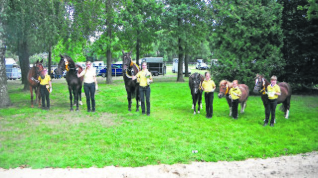 Freuen sich über ihren Erfolg (v. li.): Vera Lohe, Henrike Gehrdau-Schröder, Karin Lübberstedt, Julia Delventhal, Heriett Berschik und Hanna Sollböhmer | Foto: oh