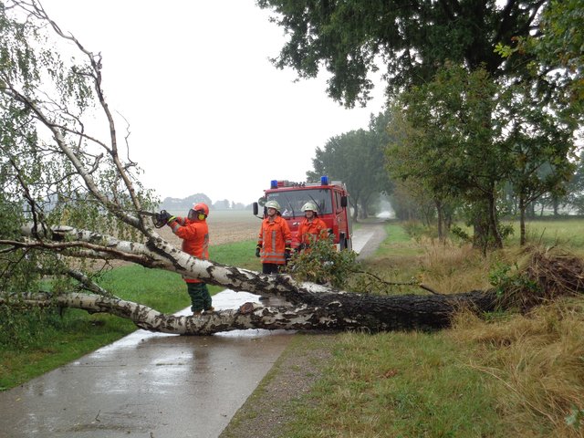 Immer wieder mussten umgestürzte Bäume beseitigt werden | Foto: feuerwehr
