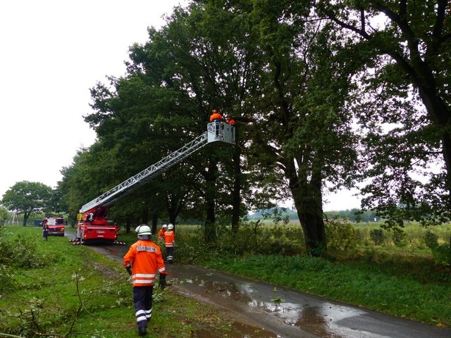 Immer wieder mussten umgestürzte Bäume oder heruntergefallene Äste durch die Retter beseitigt werden | Foto: feuerwehr