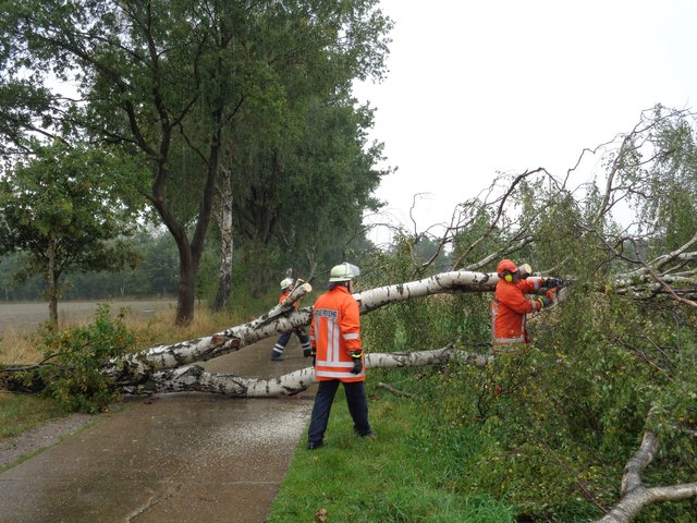 Der Strum tobte so heftig, dass auch dickere Bäume wie diese Birke entwurzelt wurden | Foto: feuerwehr