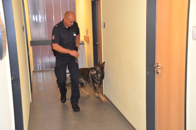 Sprengstoff Suchhunde haben das gesamte Justizgebäude abgeschnüffelt | Foto: Polizei