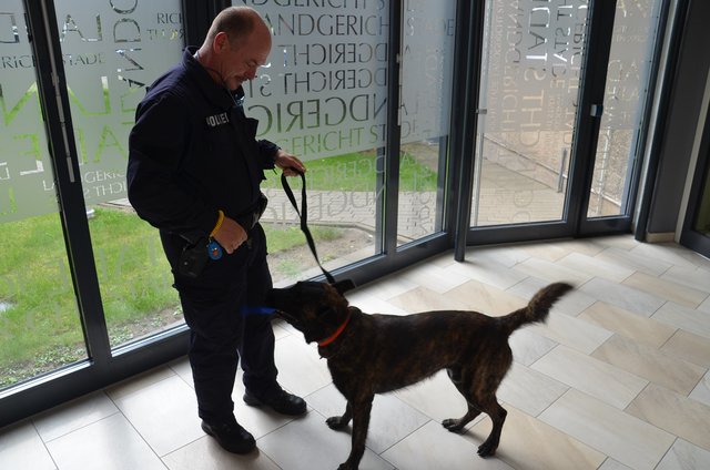 Auch die Spürnasen der Polizeihunde konnten keine Bombe erschnüffeln