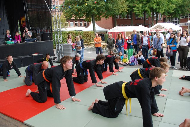 Diese Gruppe führte Shinson Hapkido, ein Gesundheitstraining für Körper und Geist, vor
