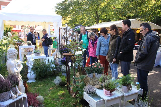 Herbstliches für den Garten gab es beim Apfelfest