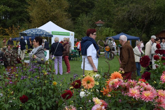 Dahlientag in Winsen