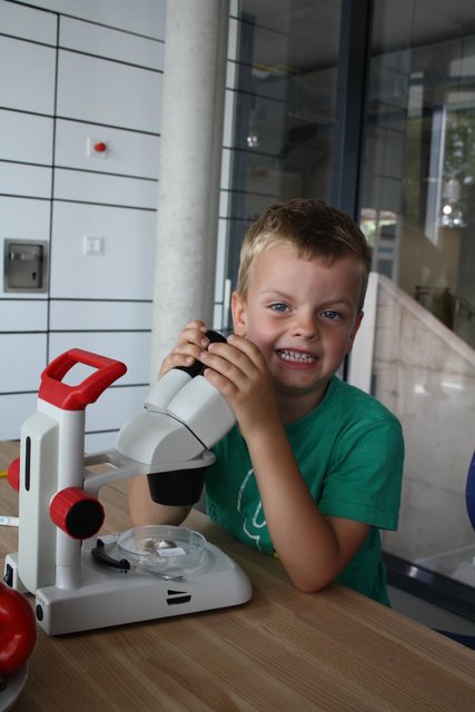 Fasziniert vom Blick durchs Mikroskop: Tim (5) aus Winsen