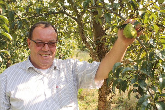 Jeder Baum auf der Streuobstwiese hat einen Paten. Bürgermeister Siegfried Stresow hat sich selbstverständlich die "Bürgermeister-Birne" ausgewählt
