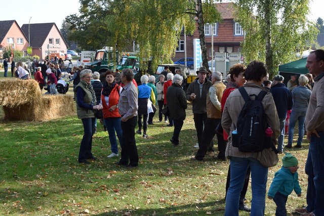 Besuchermagnet: Jedes Jahr kommen zahlreiche Besucher nach Marschacht zum großen Bauernmarkt
