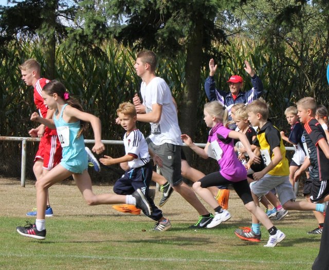 Beim 3.000-Meter-Lauf starteten mehrere Altersklassen auf einmal | Foto: alle: Maren Sievers