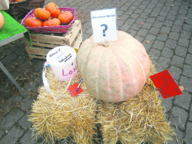 Muss geschätzt werden: das Gewicht dieses Kürbis | Foto: oh