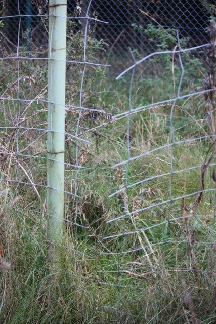 Vandalismus: Der Zaun wurde absichtlich zerschnitten