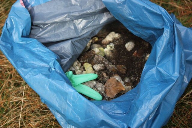 Ekelhaft: Unbekannte stellten Säcke mit Hundekot vor dem Hundehof ab | Foto: oh