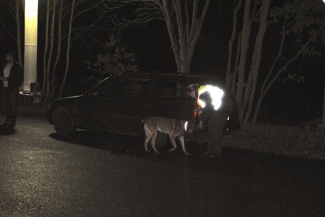 Ein Drogenspürhund durchsuchte den Pkw