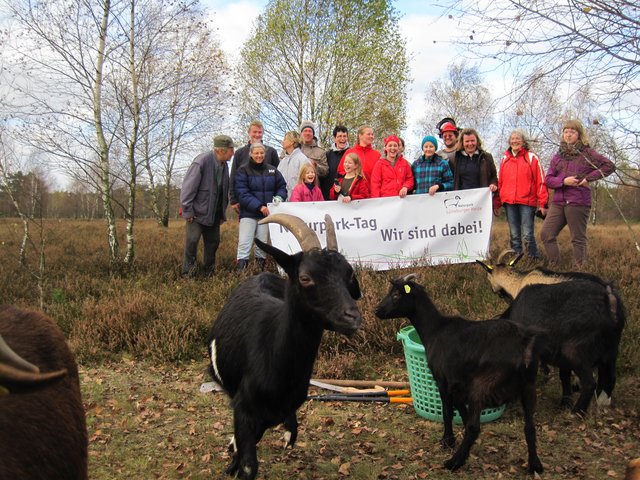 Das Zupforchester Saitenwind wurde bei einer Aktion in Schneverdingen von Ziegen unterstützt | Foto: Naturpark Lüneburger Heide