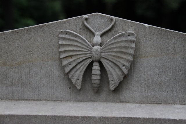 Schmetterlings-Relief auf einem der restaurierten Grabmale