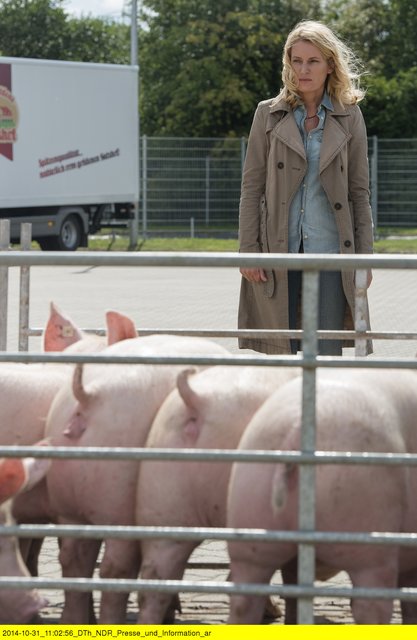 Maria Furtwängler als Charlotte Lindholm. Die Kommissarin hat ein mulmiges Gefühl beim Anblick der Schweine | Foto: NDR/Christine Schroeder