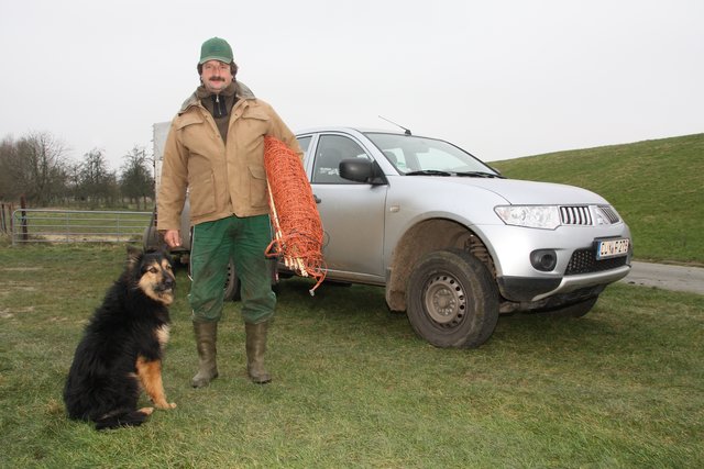 Ein idyllisches Hirtenleben sieht anders aus: Der Deichschäfer ist meist mit dem Auto unterwegs. Sein Hund "Teddy" begleitet ihn