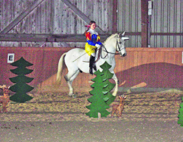 Besucher der Weihnachtsfeier des Reitvereins Tostedt können sich gegen eine Spende mit dem "sprechenden Einhorn Tommy" fotografieren lassen | Foto: archiv / oh