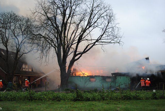 Möglicherweise ging das Feuer von einem im Schuppen abgestellten Fahrzeug aus