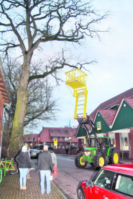 Mit einem Traktor und Leitern versuchten die Helfer, die Katze (Ausschnitt) vom Baum herunterzuholen