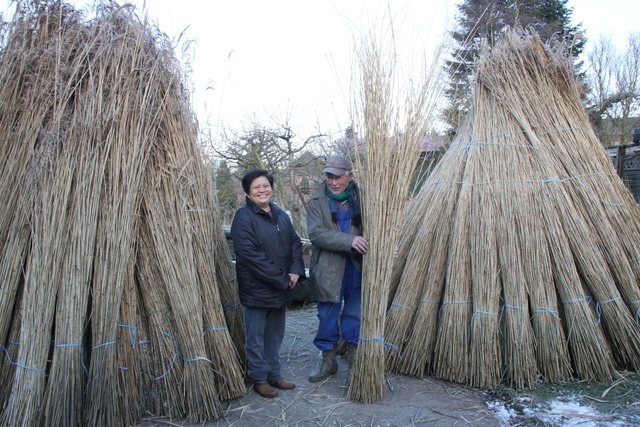 Johann Kotterbach und seine Lebensgefährtin Irene Muuß mit gesäuberten Reet-Bündeln, die auf dem Hof lagern