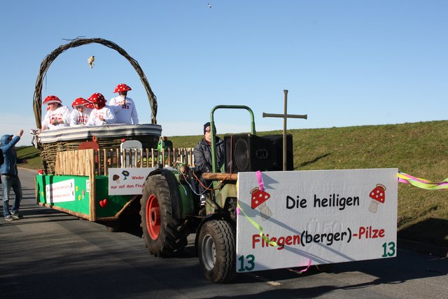 Haha Fliegen(berger)-Pilze und das im Winter
