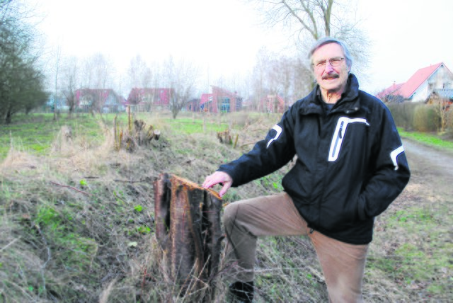 Harald Lamb traute seinen Augen nicht. Plötzlich waren die Mirabellenbäume weg