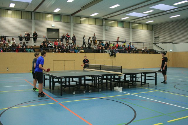 Impressionen Sportschau Stelle | Foto: Antje Patjens, TSV Stelle