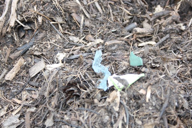 Bei näheren Hinsehen finden sich auch in den noch nicht ausgebrachten Material Plastikreste