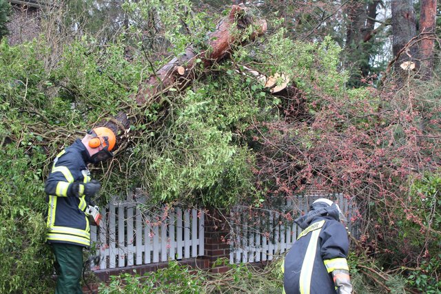 Im Ottensener Weg in Buxtehude zerlegte die Feuerwehr einen beschädigten Baum