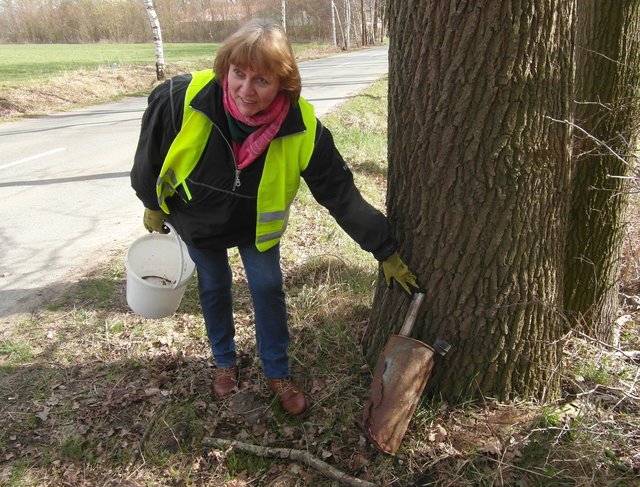 Foto: Heimatverein Helmste