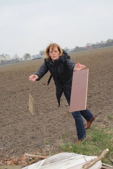 Britta Buchholz wirft Laminatreste, die auf dem Acker liegen, auf den Müllhaufen zurück