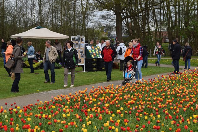 Impressionen: Tulpenfest in den Winsener Luhegärten