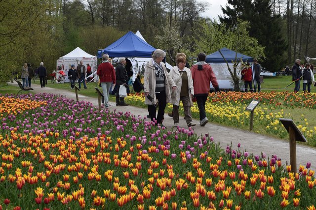 Impressionen: Tulpenfest in den Winsener Luhegärten