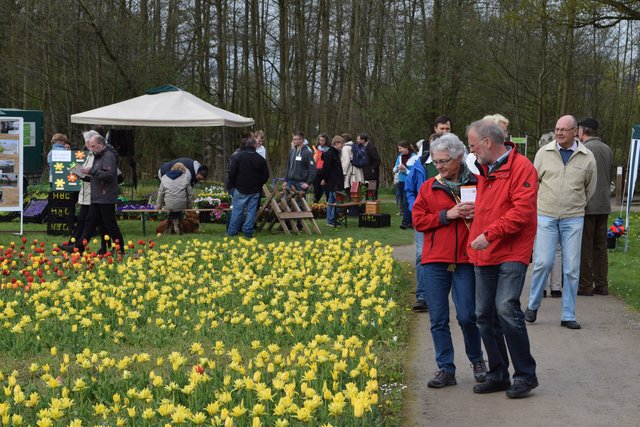 Impressionen: Tulpenfest in den Winsener Luhegärten