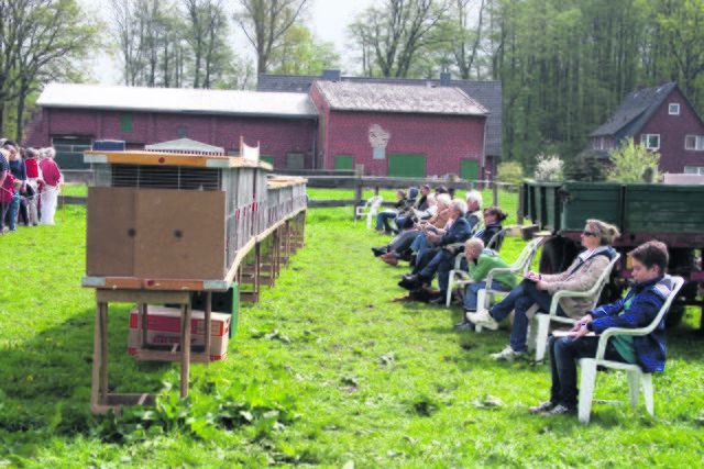 Jedes „Kikeriki“ akribisch durch die "Krähzähler" erfasst