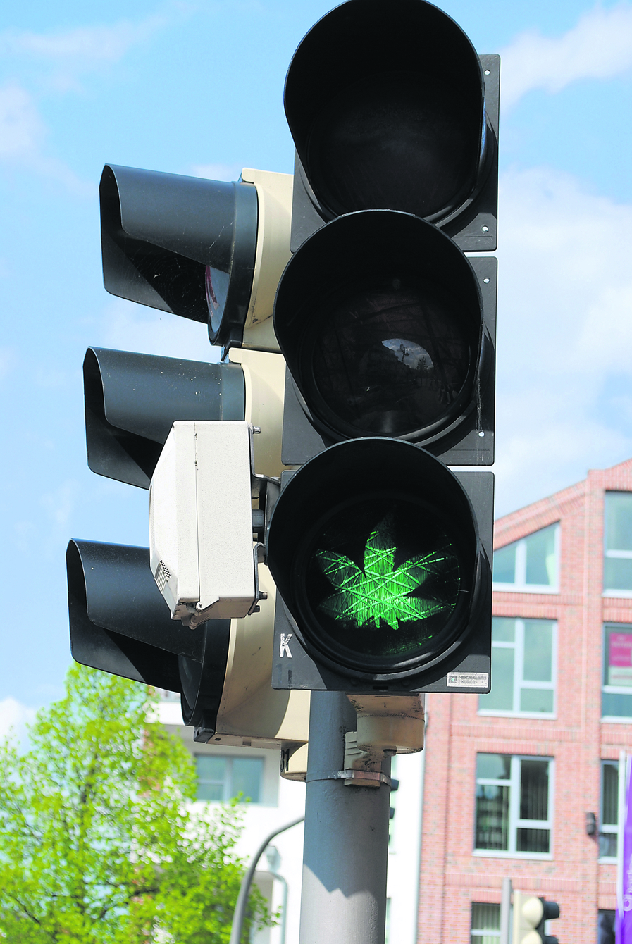 Wird hier grünes Licht für Marihuana gefordert?